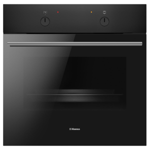 Духовой шкаф Hansa BOES68004